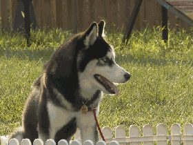 1478139633178354.gif