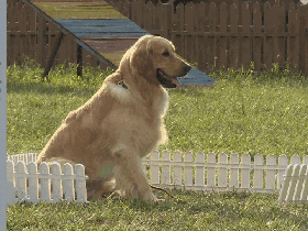 1478139633521878.gif