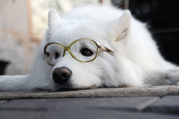 1502360696272722.gif fhjhio51.gif